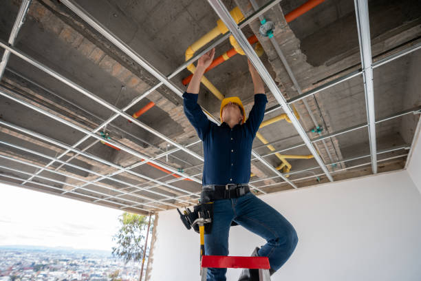 Best Clogged Drain Plumber  in Ilion, NY
